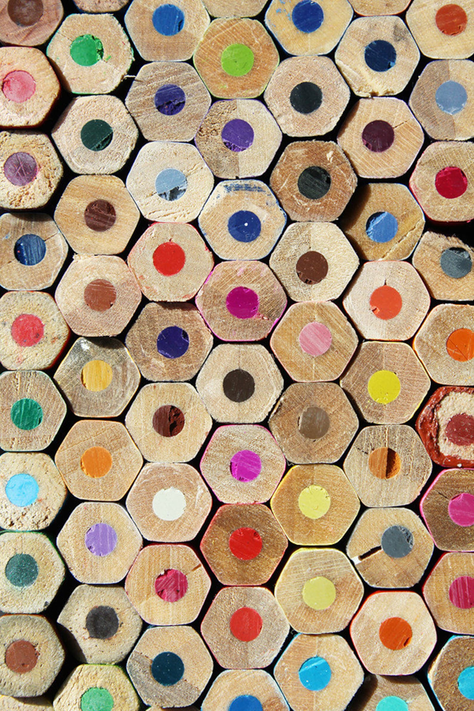 Colored Pencil Photo Backdrop // Polypaper Photography Backdrop ...