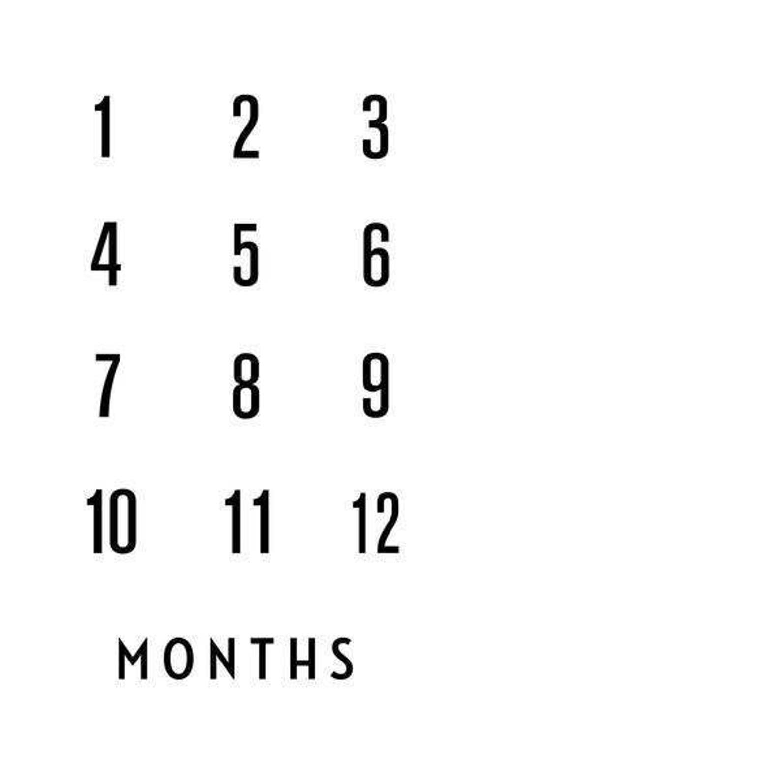 48 X 48 // Calendar Photo Backdrop // Polypaper - Etsy