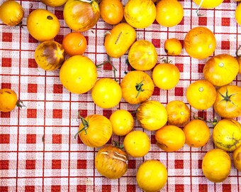 Cherry Tomato Picnic