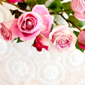 Rosa Rosen