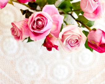 Pink Roses
