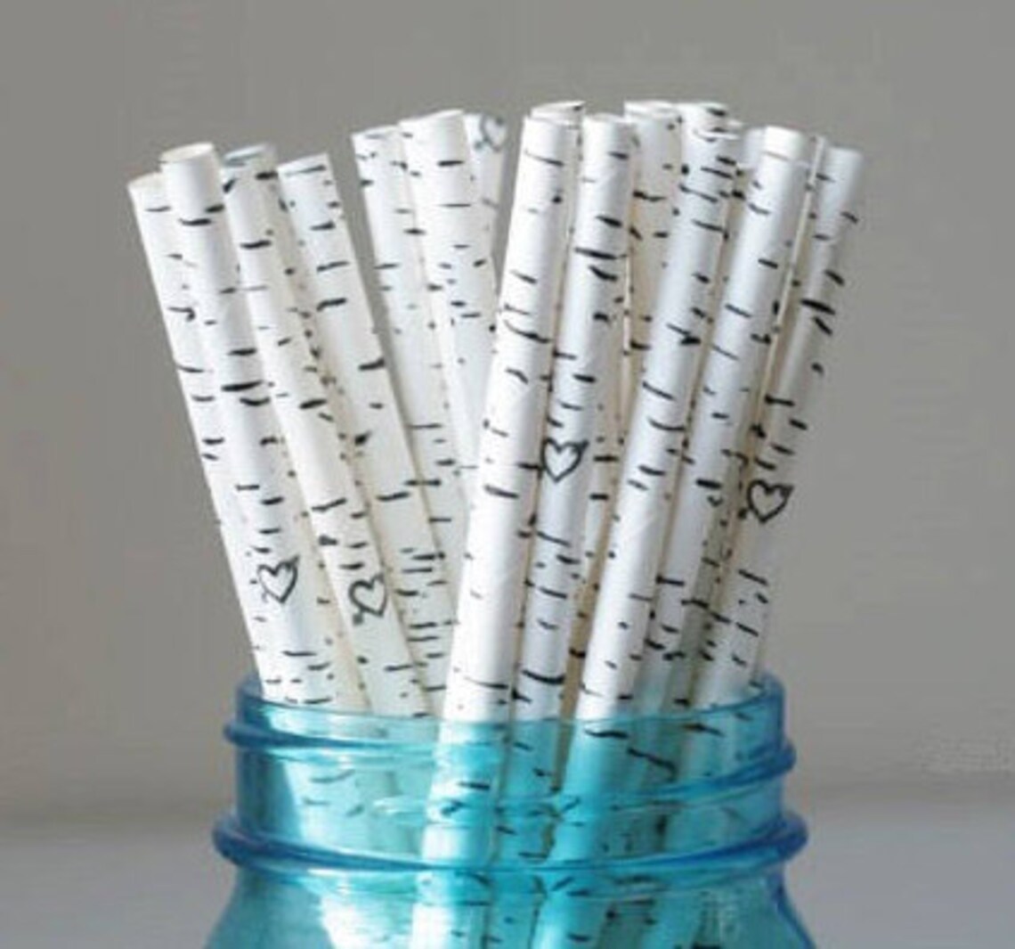 30 Birch Tree Paper Straws Birch Style Rustic Party Straws Etsy Canada
