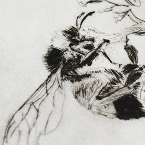 Bumblee Bee Print Black and White , Handmade original print, drypoint. image 1