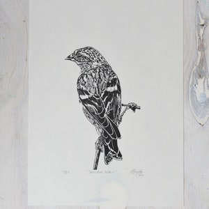 Linocut bird black and white Snowdon Siskin Linoprint. image 3
