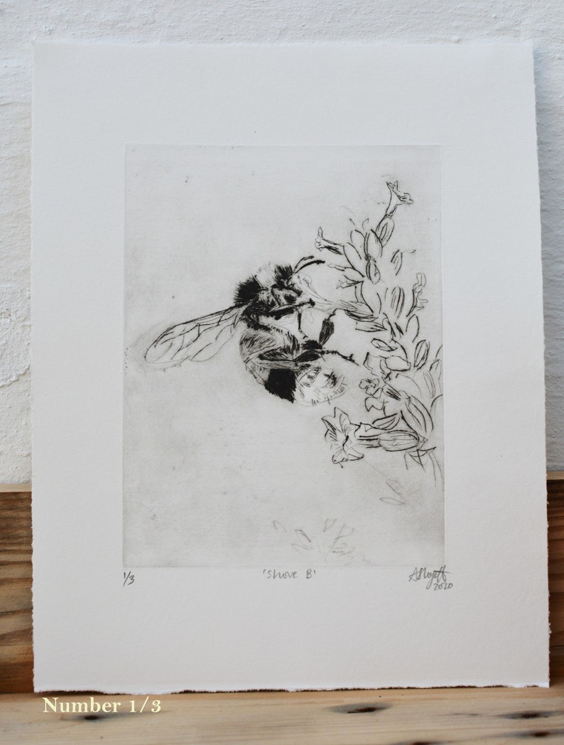 Bumblee Bee Print Black and White , Handmade original print, drypoint. image 7