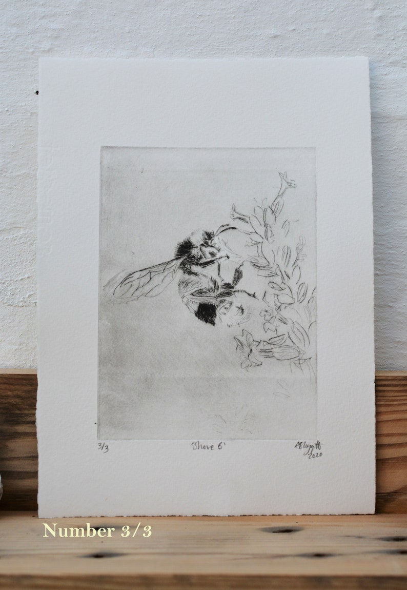 Bumblee Bee Print Black and White , Handmade original print, drypoint. image 9