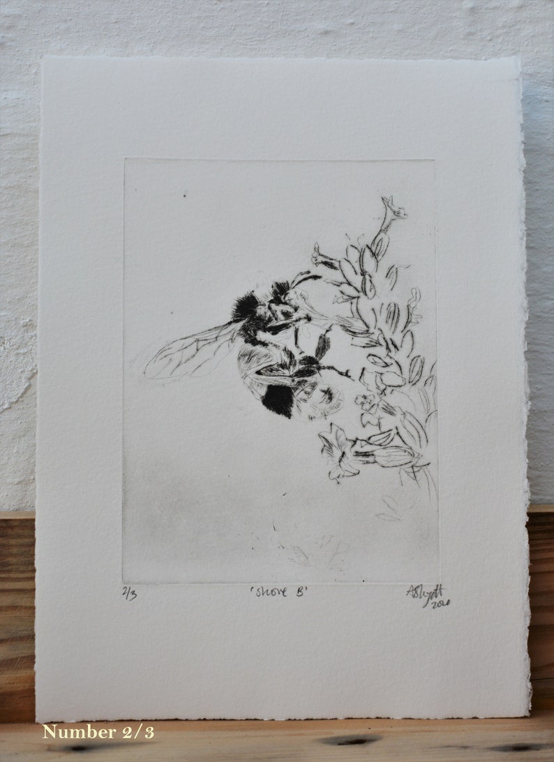 Bumblee Bee Print Black and White , Handmade original print, drypoint. image 8