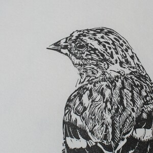 Linocut bird black and white Snowdon Siskin Linoprint. image 5