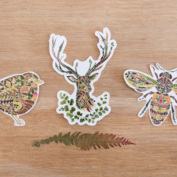 Woodland theme Vinyl Sticker pack (of 3) - Stag / Wren / Honey bee - Pressed fern art