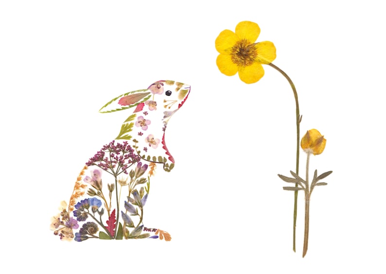 Illustrated Greetings Card Floral Rabbit Design 100% image 0