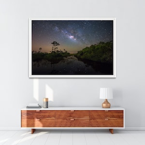 Everglades National Park Milky Way Photography Print, Galaxy Wall Art, Astrophotography Wall Print, Star Photography, Digital Download #025