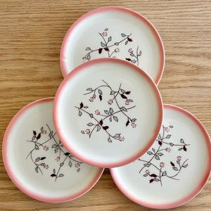 May include: A set of five white ceramic plates with a pink rim. Each plate features a delicate floral design with pink berries, gray leaves, and brown stems. The plates are arranged on a light brown wooden surface.