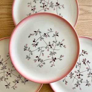 May include: A set of five white ceramic plates with a pink rim. Each plate features a delicate floral design with pink buds, green leaves, and brown stems. The plates are arranged on a light-colored wooden surface.