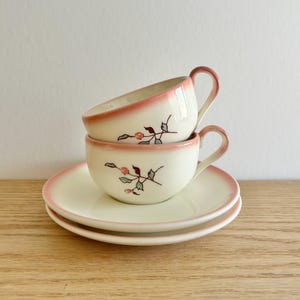 Peut inclure: Deux tasses à thé crème empilées avec des soucoupes assorties. Chaque tasse et soucoupe a un bord rose et un motif floral avec des fleurs roses et des feuilles vertes. Les tasses ont des anses roses.