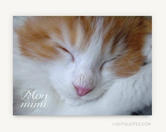 Mon Mimi Cat Photo Instant Download for DIY Anytime Card. Can be enlarged for small wall art. Blank card, thanks card, cat valentine card