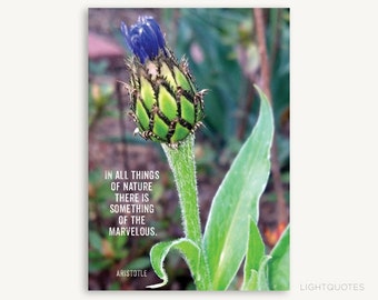 Inspirational Nature Quote by Aristotle. Instant download for greeting cards or framable art print. DIY card, blank card, nature lovers card