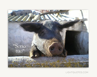 Instant Download “Sono Tuo” (I’m Yours). Print 5x7" card or small wall art of an adorable pig in Italy, longing for love! DIY card.