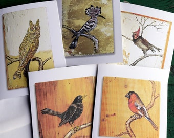 Set of 5 Blank Greeting Cards, 5 x 7 inch (A7) with envelopes. Bird Paintings by Steve Rein