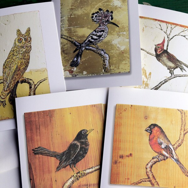 Set of 5 Blank Greeting Cards, 5 x 7 inch (A7) with envelopes. Bird Paintings by Steve Rein