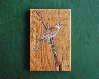 Marsh Warbler, Original Bird Painting on Reclaimed Wood