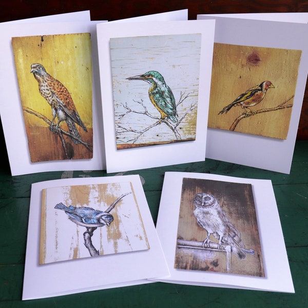 Set of 5 Art Cards, Bird Paintings on Wood, 5 x 7 inch (A7) Blank cards with white envelopes.