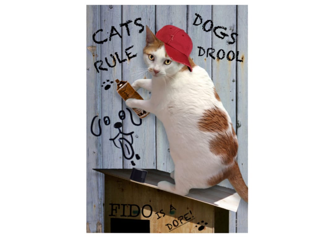 Cat Photo Card: CATS RULE! - Etsy