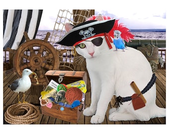 Cat Photo Card: Yo Ho!