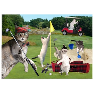 Cat Photo Card: Tee'd Off