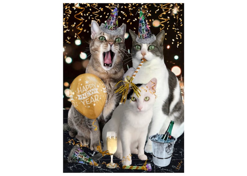 New Year Cat Photo Card: Happy New Year image 1