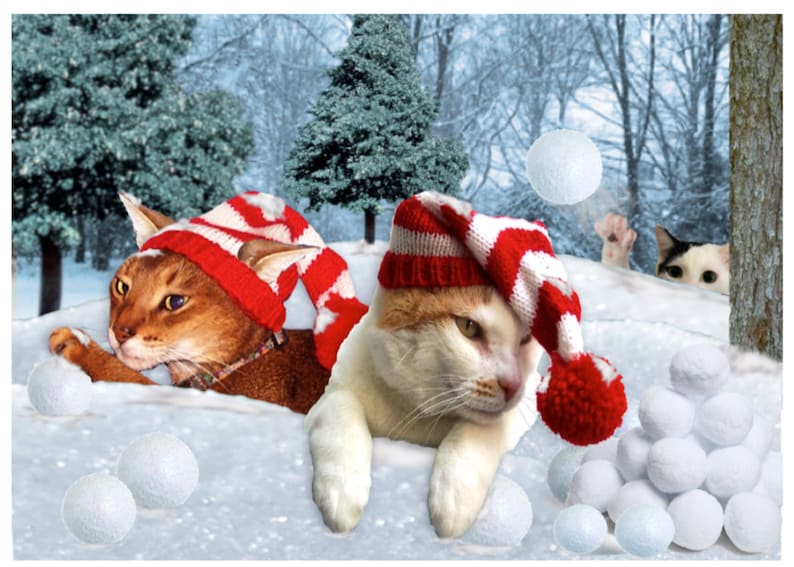 Chance of Snow Christmas Cat Photo Card