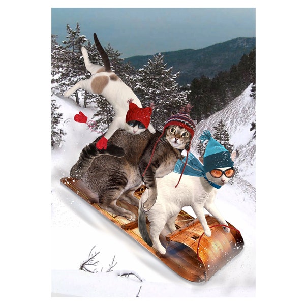 Christmas Cat Photo Card: Downhill Racers