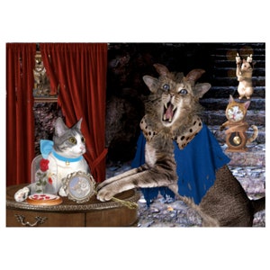 Cat Photo Card: Once Upon A Time