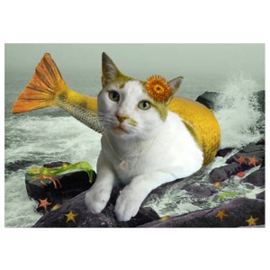 Cat Photo Card: Lorelei