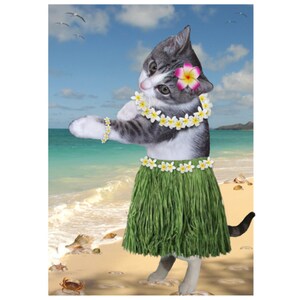 Cat Photo Card: Hulala