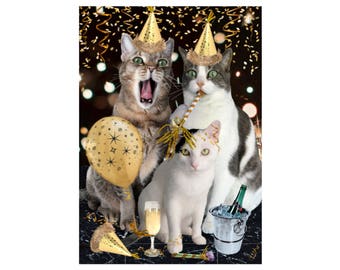 Cat Photo Card: It's A Celebration!