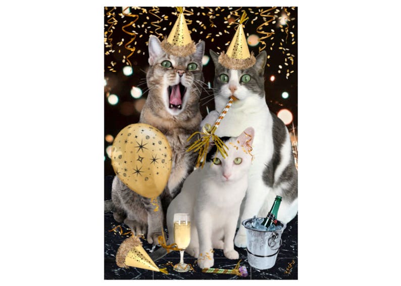 Cat Photo Card It's A Celebration Etsy