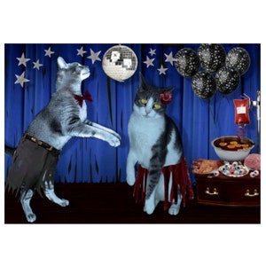 Halloween Cat Photo Card: Zombie Prom