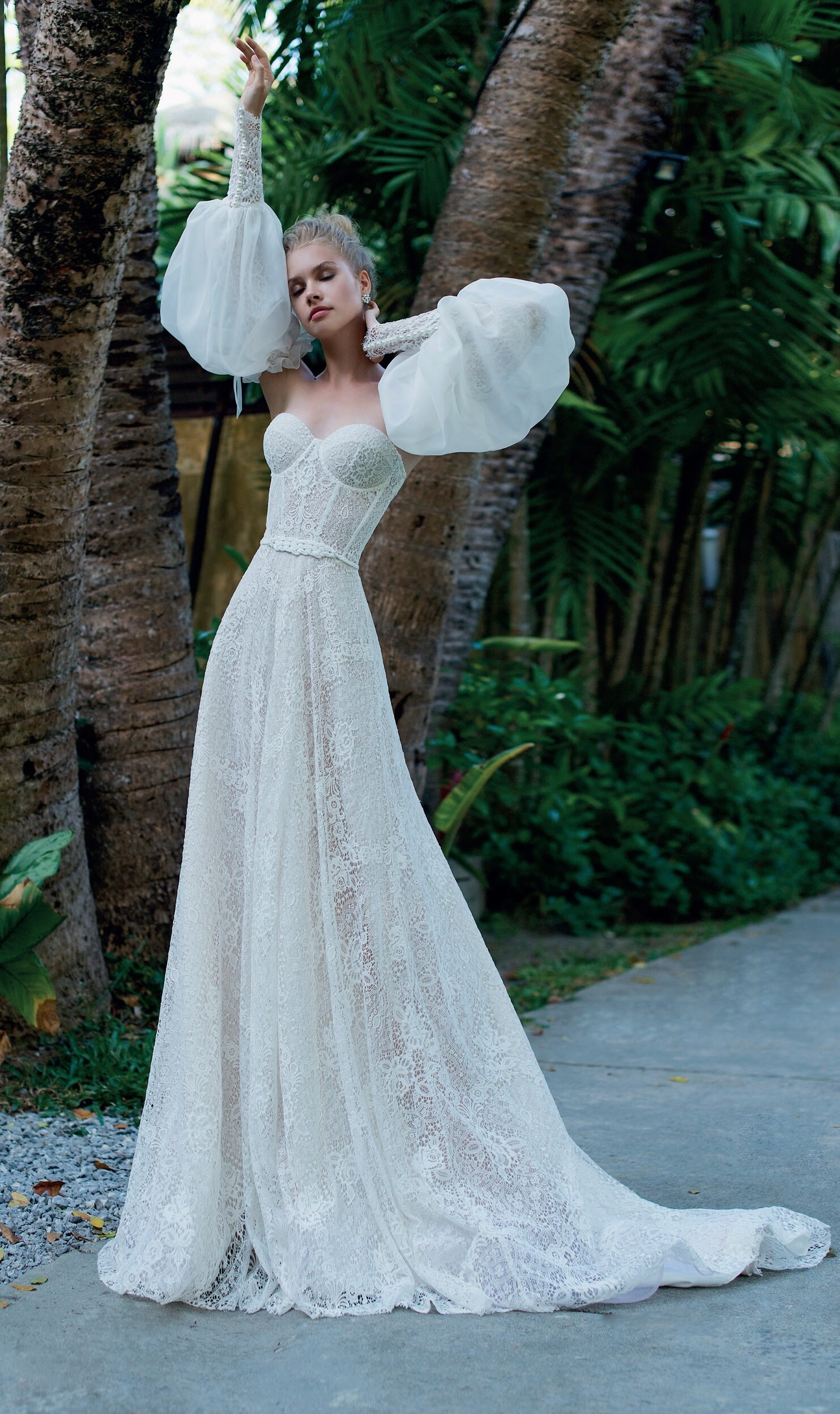 Beautiful Lace Chiffon Bustier Style 