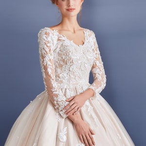 Champagne Ball Gown Wedding Dress Bridal Gown Lace Long Illusion Sleeves Full Skirt Contrasting Lace V Neckline Open Back