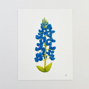 Bluebonnet Art Print | Botanical Art Print | Funny Art Print | Bluebonnet Wall Art | Wall Art | Blue Flower Wall Art | Profanity