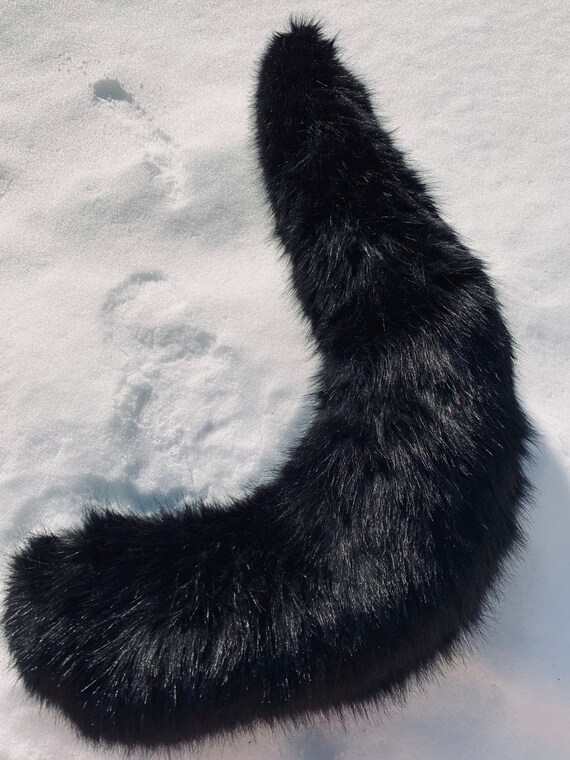 large black cat with long tail