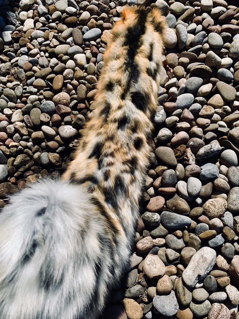 zoom goldencheetah zoom goldencheetah