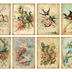 May include: A collage of eight vintage illustrations featuring birds and flowers. The images are in a faded, antique style with a light blue background. The birds are depicted in various poses, including flying, perched on branches, and building nests. The flowers are a mix of pink, white, and yellow roses, daisies, and other blooms.