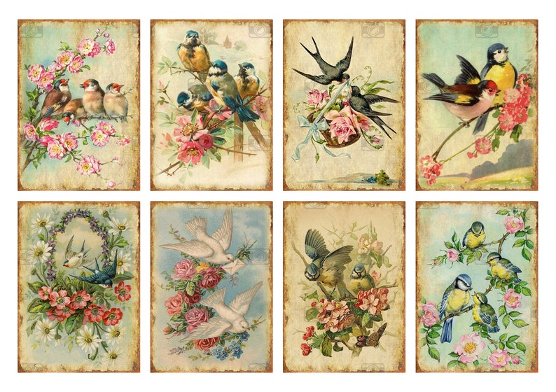 May include: A collage of eight vintage illustrations featuring birds and flowers. The images are in a faded, antique style with a light blue background. The birds are depicted in various poses, including flying, perched on branches, and building nests. The flowers are a mix of pink, white, and yellow roses, daisies, and other blooms.