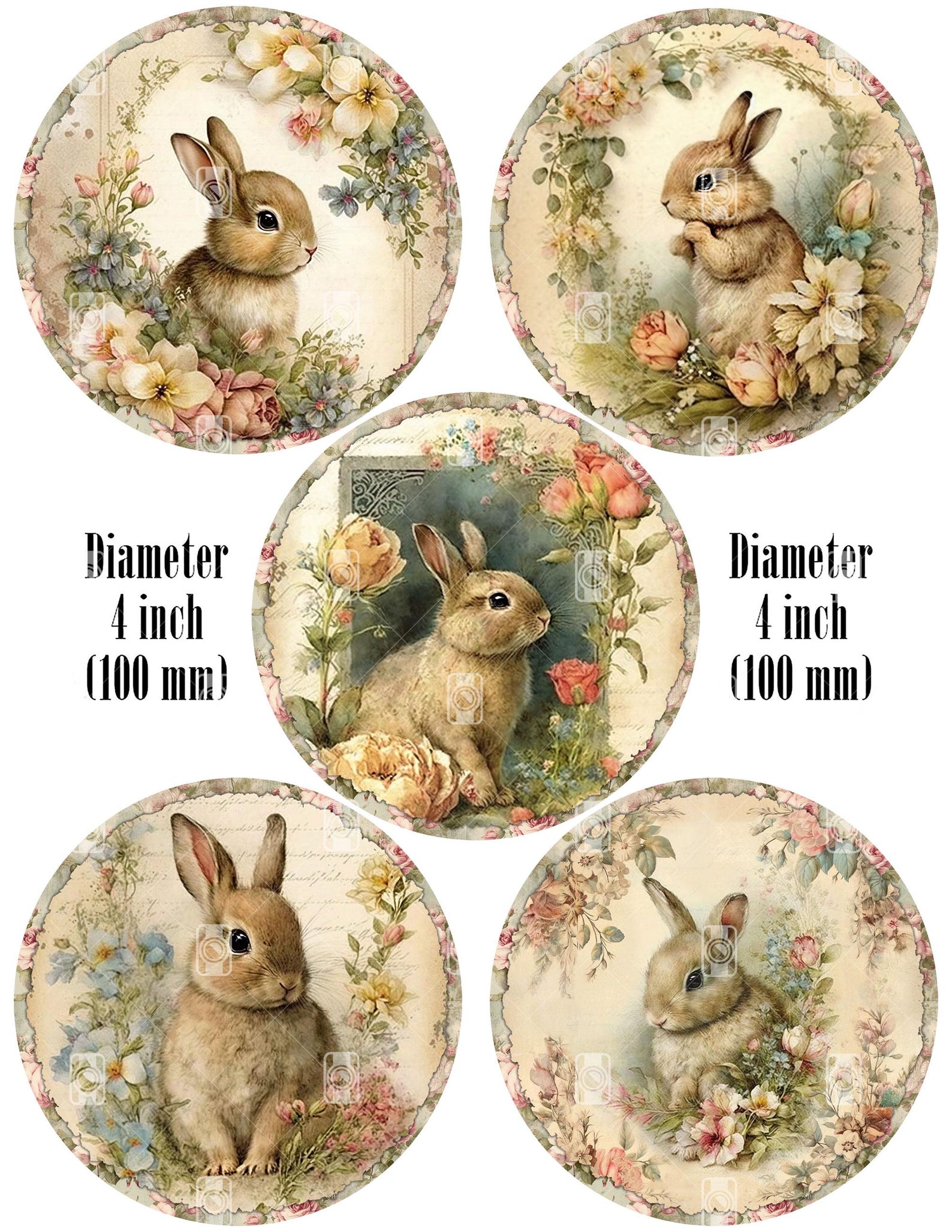 Easter Rabbit Round 10 Floral Bunny Spring Easter Rabbit Round Images PNG & 2 Digital ...