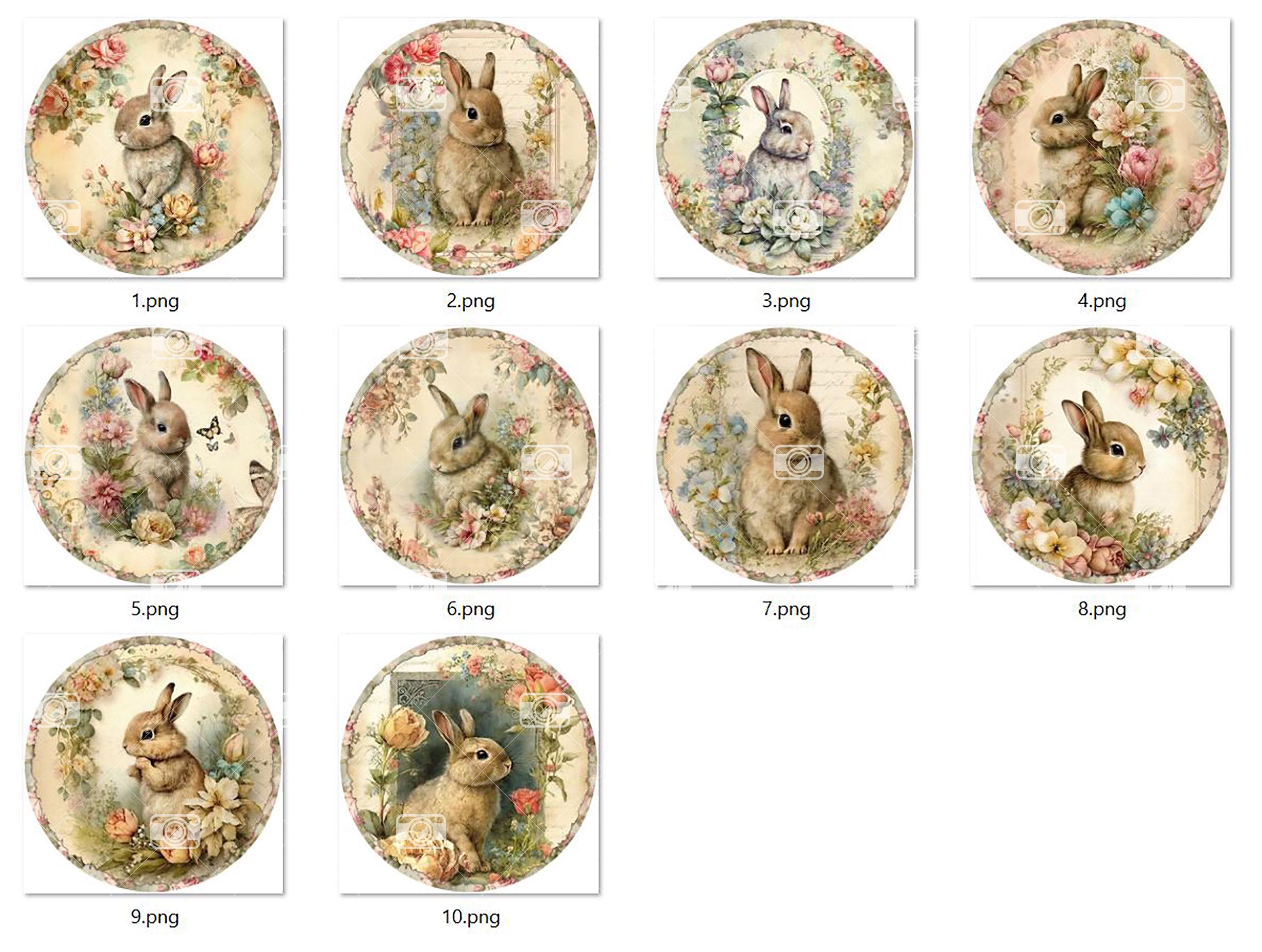 Easter Rabbit Round 10 Floral Bunny Spring Easter Rabbit Round Images PNG & 2 Digital ...