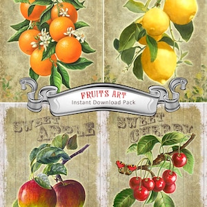 2+1 FREE Digital Printable Paper "fruits Art" A4 Sheet Set - 8 High ...