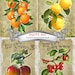 21 FREE Digital Printable Paper fruits Art A4 Sheet Set 8 High ...