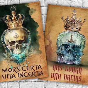 Pacote de papel digital A5 Folhas de colagem de arte macabra de caveira para caixa de decoupage, páginas de diário de lixo, capa de planejador, capa de caderno, sucata de efêmera