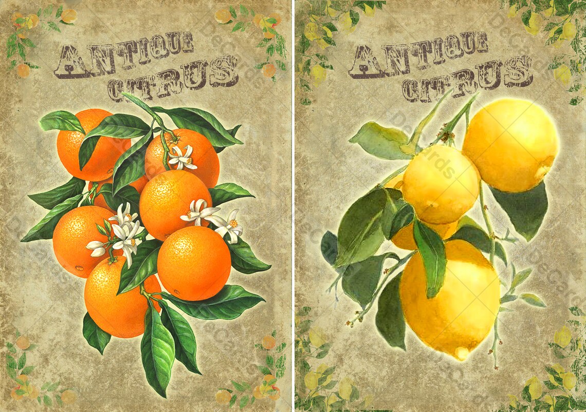21 FREE Digital Printable Paper fruits Art A4 - Etsy